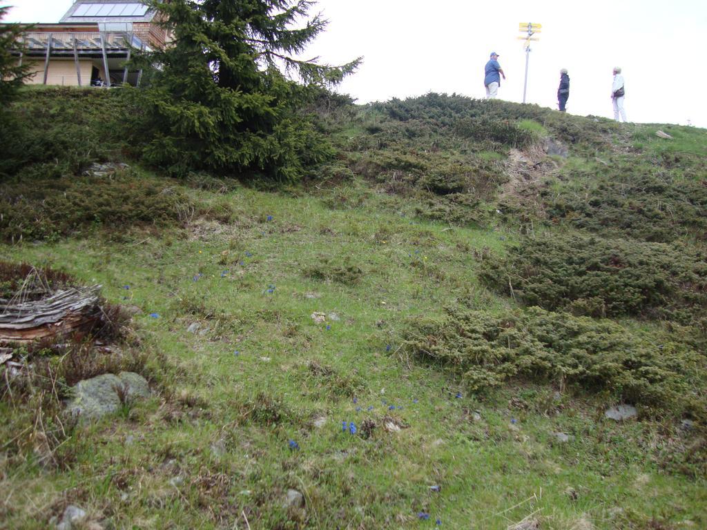 Haus Eder Burgi Otel Nikolsdorf Dış mekan fotoğraf